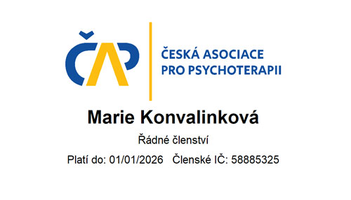 Česká asociace pro psychoterapii